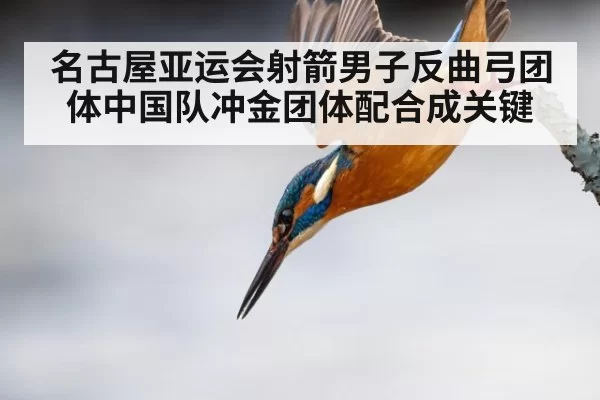 名古屋亚运会射箭男子反曲弓团体中国队冲金团体配合成关键